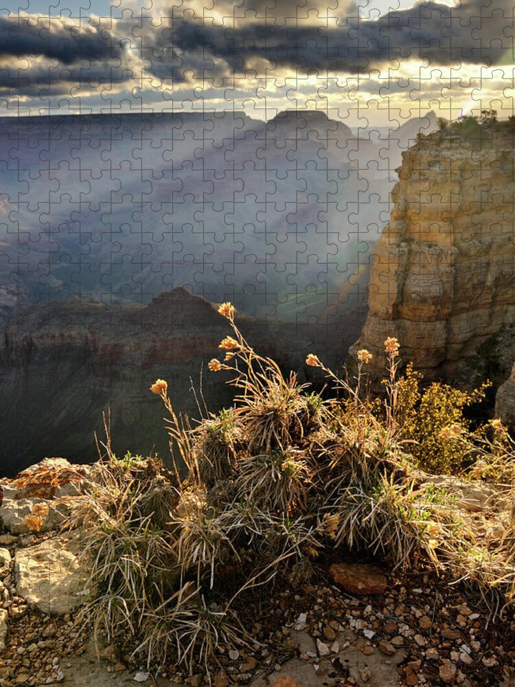Scenics Jigsaw Puzzle featuring the photograph Morning Landscape Of Grand Canyon by Rezus