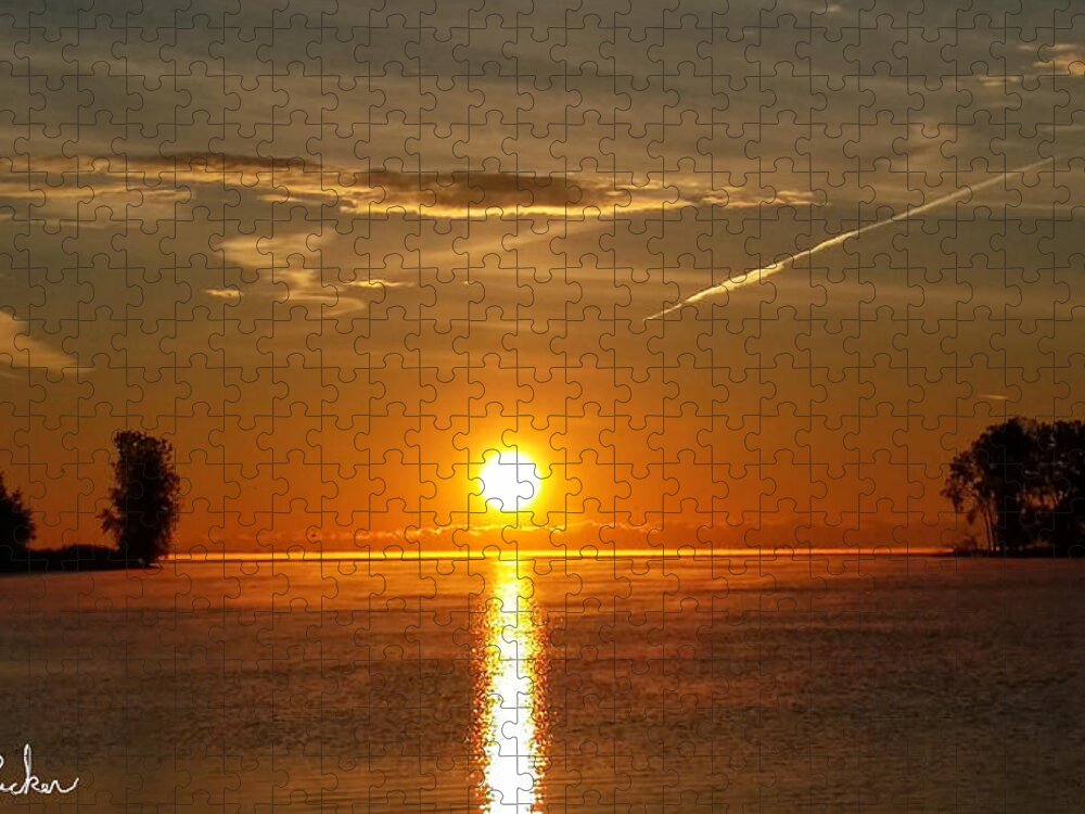 Sun Jigsaw Puzzle featuring the photograph Morning Sun by Michael Rucker