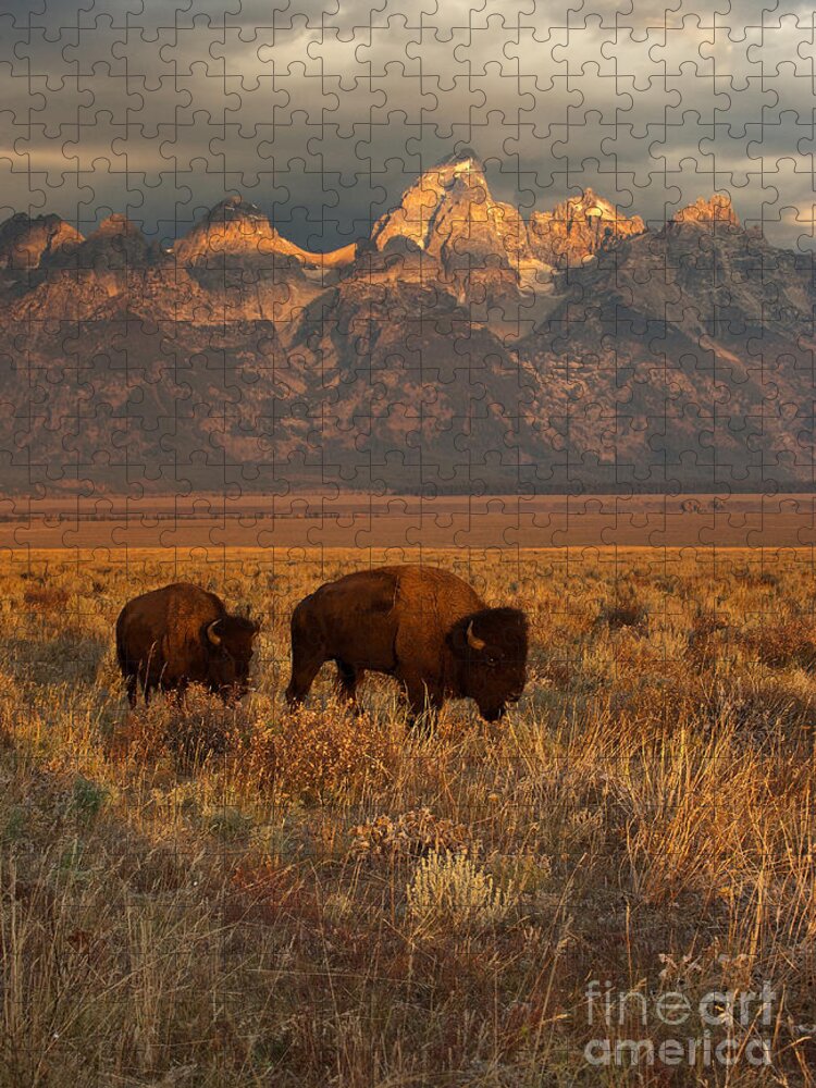 Grand Teton Jigsaw Puzzle featuring the photograph Morning Travels in Grand Teton by Sandra Bronstein