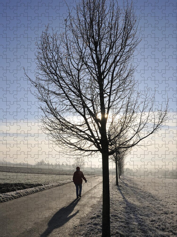Tree Jigsaw Puzzle featuring the photograph Morning walk by Matthias Hauser
