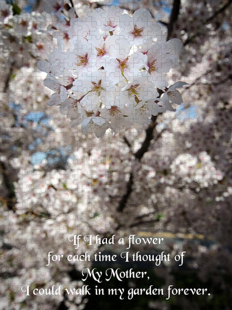 Cherry Blossoms Jigsaw Puzzle featuring the photograph Cherry Blossom Flower #1 by Crystal Wightman