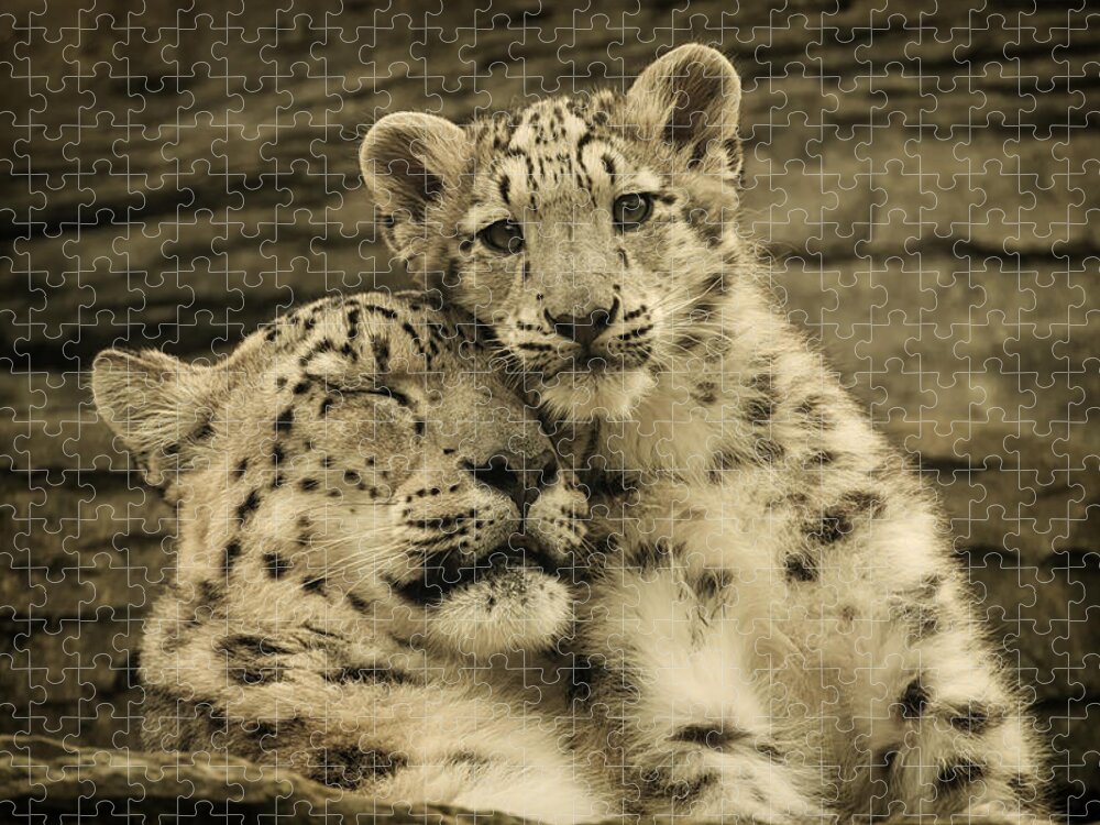 Marwell Jigsaw Puzzle featuring the photograph Mother's Love by Chris Boulton