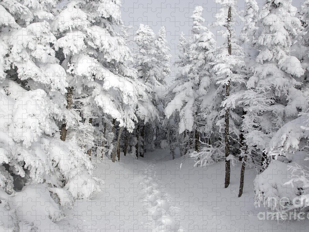 Wilderness Jigsaw Puzzle featuring the photograph Mount Osceola Trail - White Mountains New Hampshire by Erin Paul Donovan