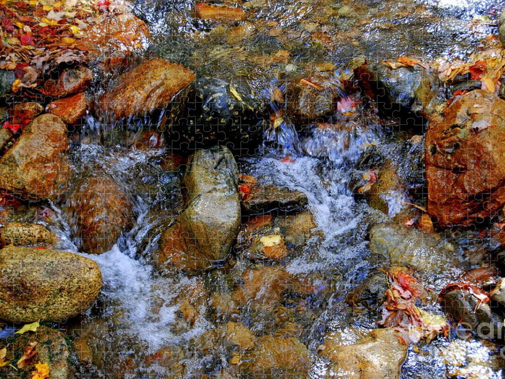 Water Jigsaw Puzzle featuring the photograph Mountain Stream In Autumn by Eunice Miller