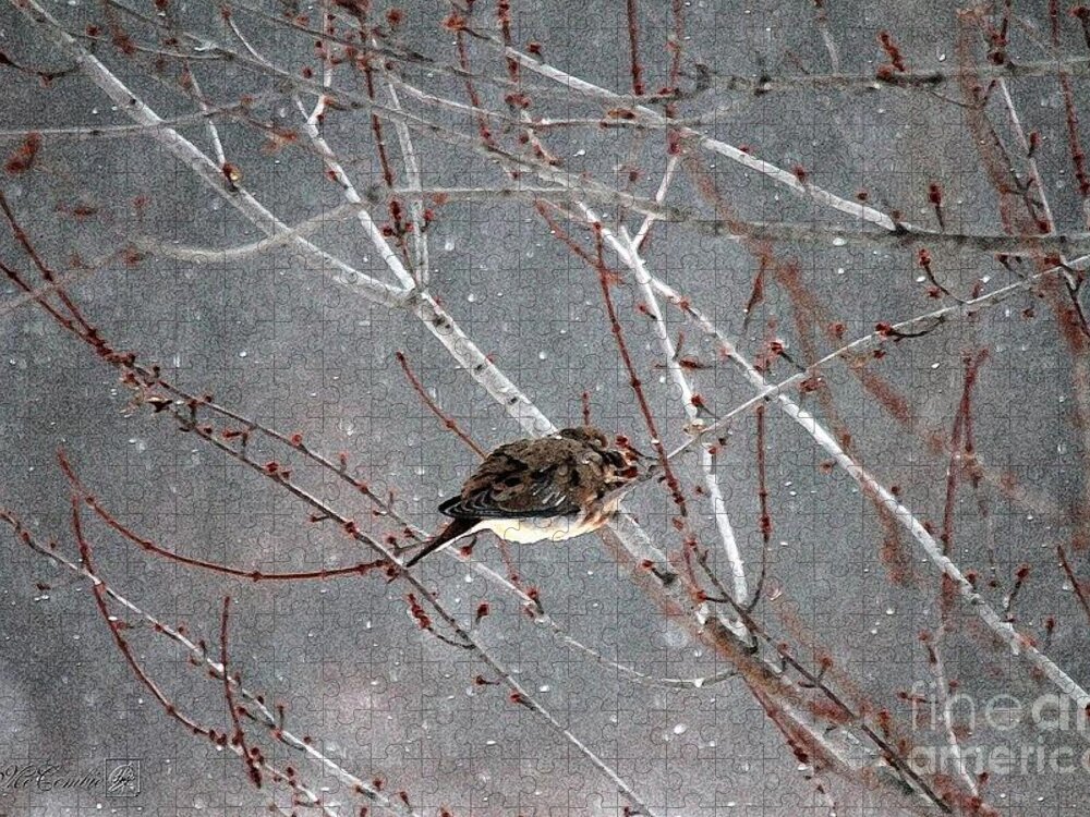 Mccombie Jigsaw Puzzle featuring the painting Mourning Dove Asleep in Snowfall by J McCombie