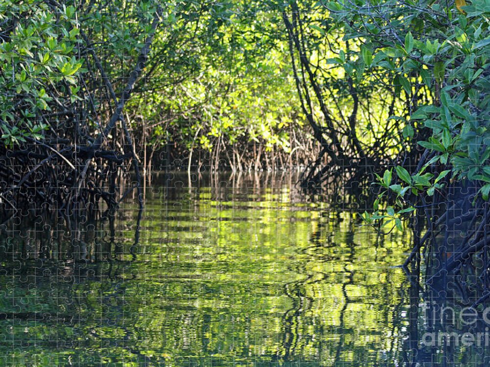 Scenic Jigsaw Puzzle featuring the photograph Movin' thru the Mangroves by Bob Hislop