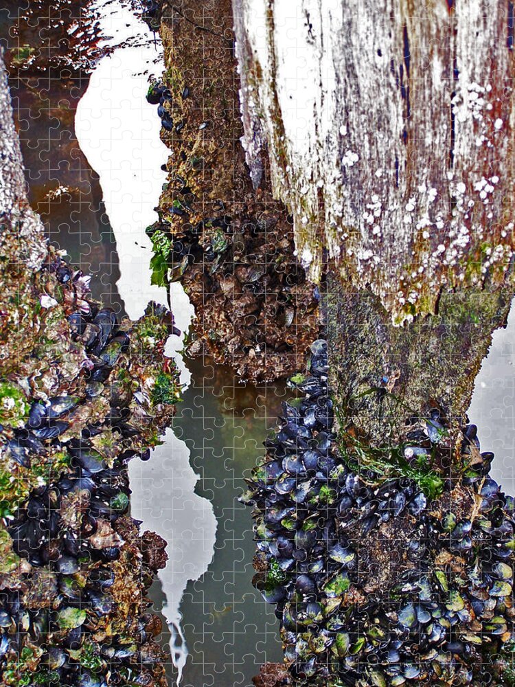 Mussels Jigsaw Puzzle featuring the photograph Mussels on Pier by Jennifer Robin