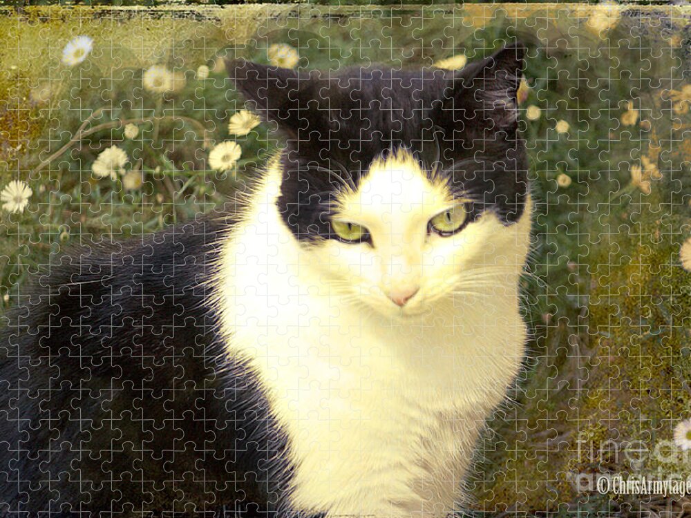  Cat Jigsaw Puzzle featuring the photograph My days in the sun ... by Chris Armytage