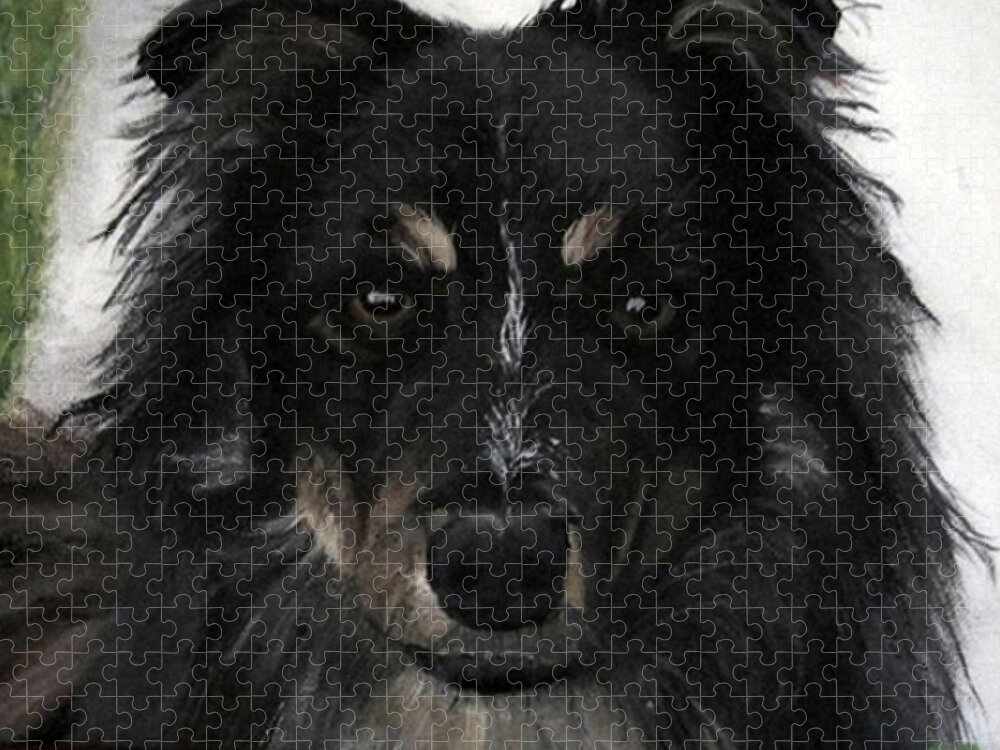 Austrailian Shepard/ Border Collie Cross.k9 Jigsaw Puzzle featuring the painting My Favorite Bud by Sharon Duguay