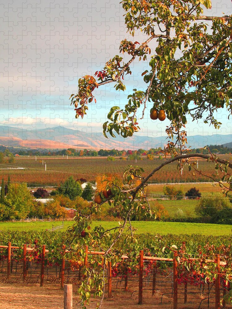 Landscapes Jigsaw Puzzle featuring the photograph My Favorite Valley View - Autumn in Southern Oregon - Scenic Nature by Brooks Garten Hauschild