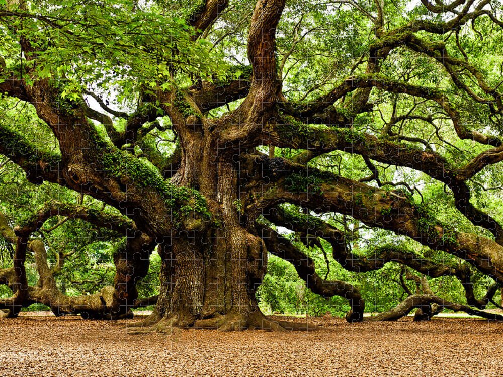  Johns Island Jigsaw Puzzle featuring the photograph Mystical Angel Oak Tree by Louis Dallara