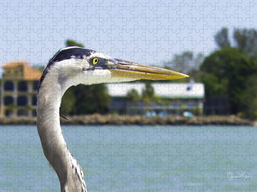 susan Molnar Jigsaw Puzzle featuring the photograph Coexistence by Susan Molnar