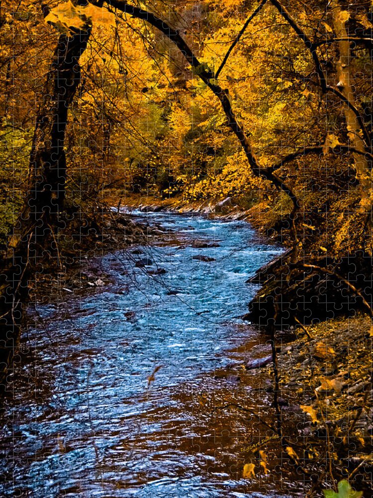 Creek Jigsaw Puzzle featuring the photograph Natures Golden Secret by DigiArt Diaries by Vicky B Fuller
