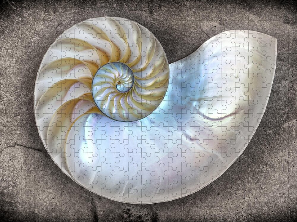 Animal Shell Jigsaw Puzzle featuring the photograph Nautilus Shell On A Textured Background by Mimi Ditchie Photography