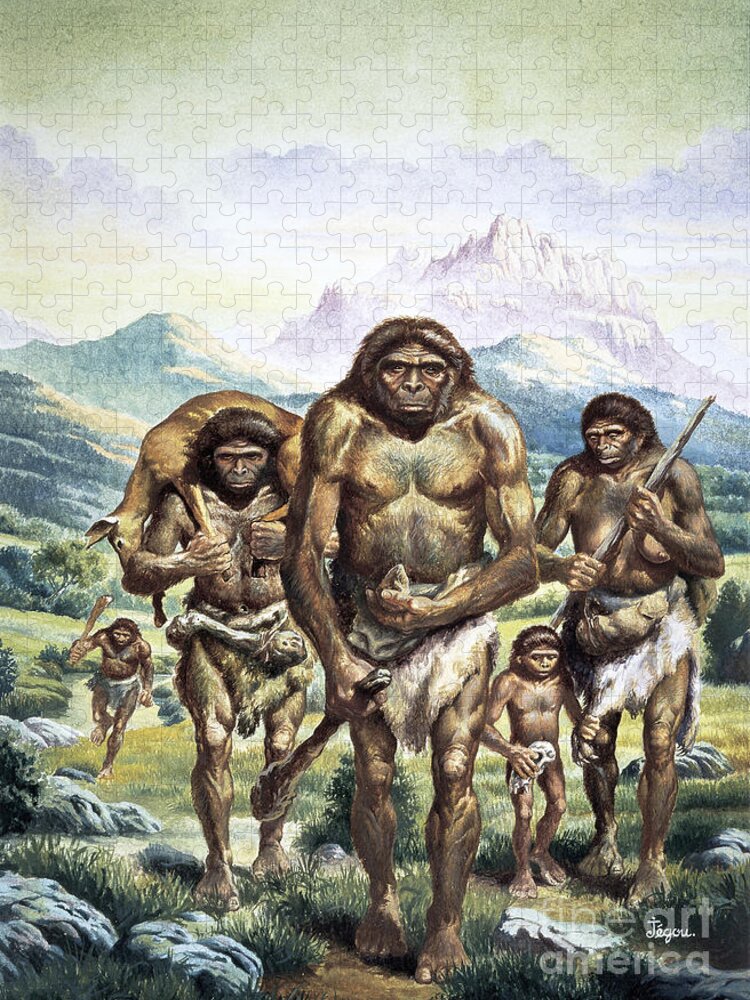 Neanderthal Man Jigsaw Puzzle featuring the photograph Neanderthal Men by Publiphoto