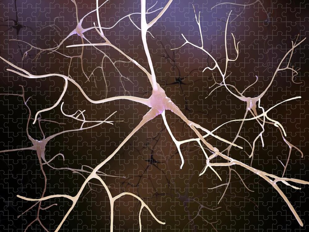 Connection Jigsaw Puzzle featuring the digital art Nerve Cells, Artwork by Andrzej Wojcicki