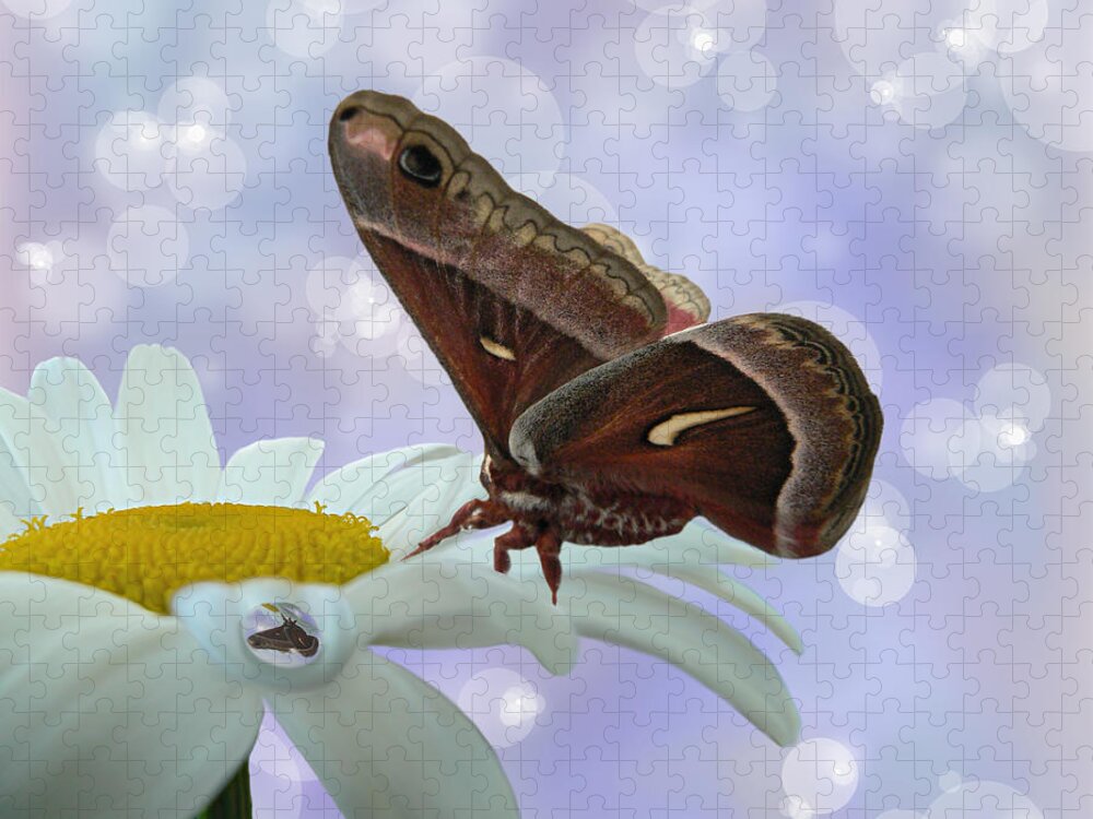 Silk Moth Jigsaw Puzzle featuring the photograph Nights in White Silk by Barbara St Jean