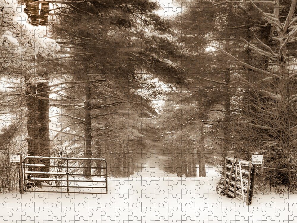 No Trespassing Jigsaw Puzzle featuring the photograph No Trespassing - Sepia by Ron Pate