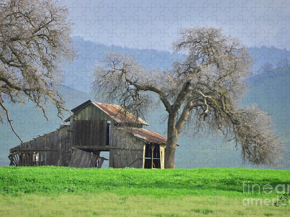 Barn Jigsaw Puzzle featuring the photograph Not Much TIme Left by Debby Pueschel