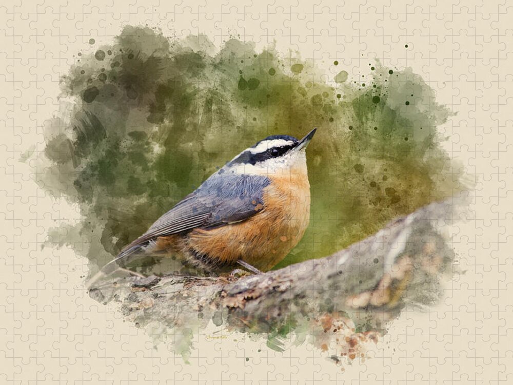 Nuthatch Jigsaw Puzzle featuring the mixed media Nuthatch Watercolor Art by Christina Rollo