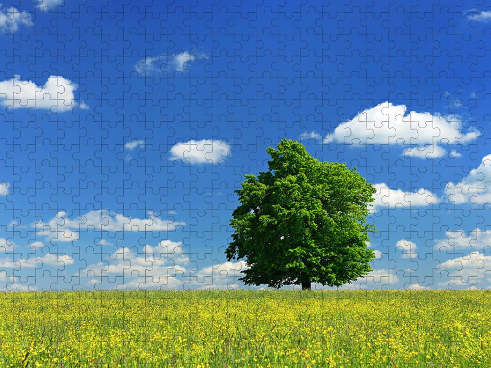 Scenics Jigsaw Puzzle featuring the photograph Oak Tree In Wildflower Meadow Under by Avtg