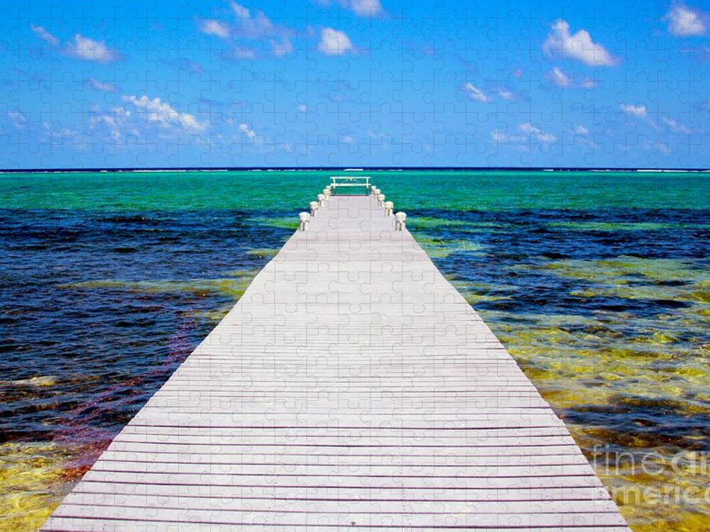 Ocean Jigsaw Puzzle featuring the photograph Ocean walkway by Carey Chen