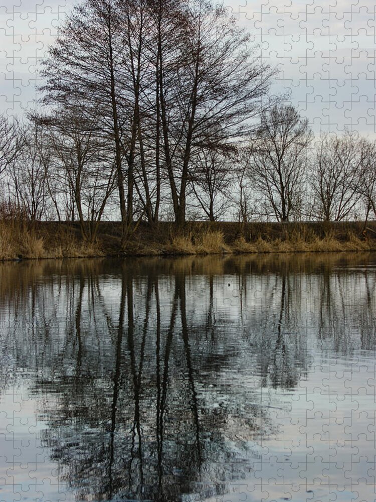 Reflections Jigsaw Puzzle featuring the photograph Of Mirrors and Trees by Georgia Mizuleva