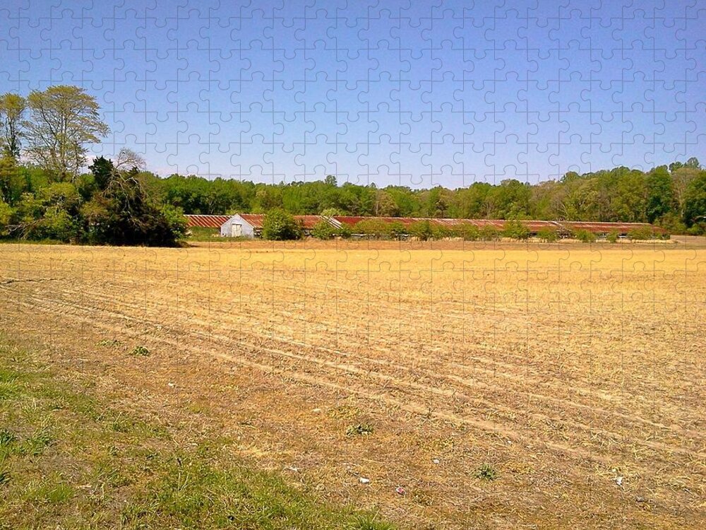 Old Jigsaw Puzzle featuring the photograph Old Chicken Houses by Chris W Photography AKA Christian Wilson