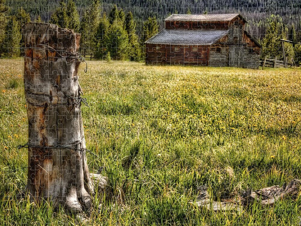 Grand Lake Jigsaw Puzzle featuring the photograph Old Homestead by Peggy Dietz