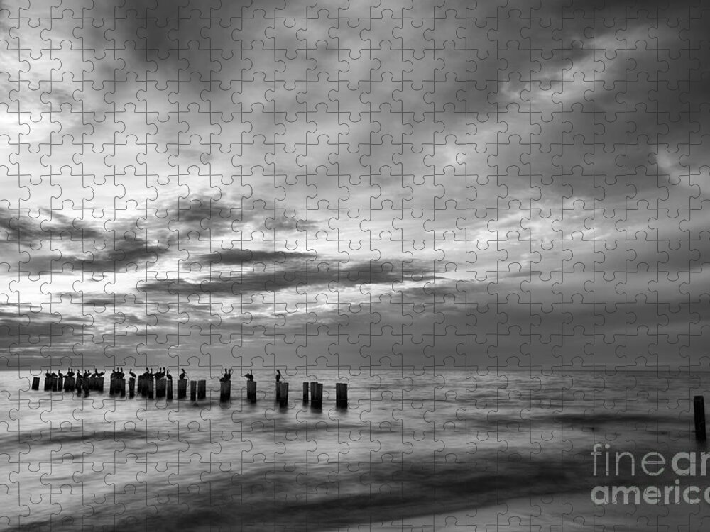 Old Naples Pier Jigsaw Puzzle featuring the photograph Old Naples pier in black and white by Paul Quinn