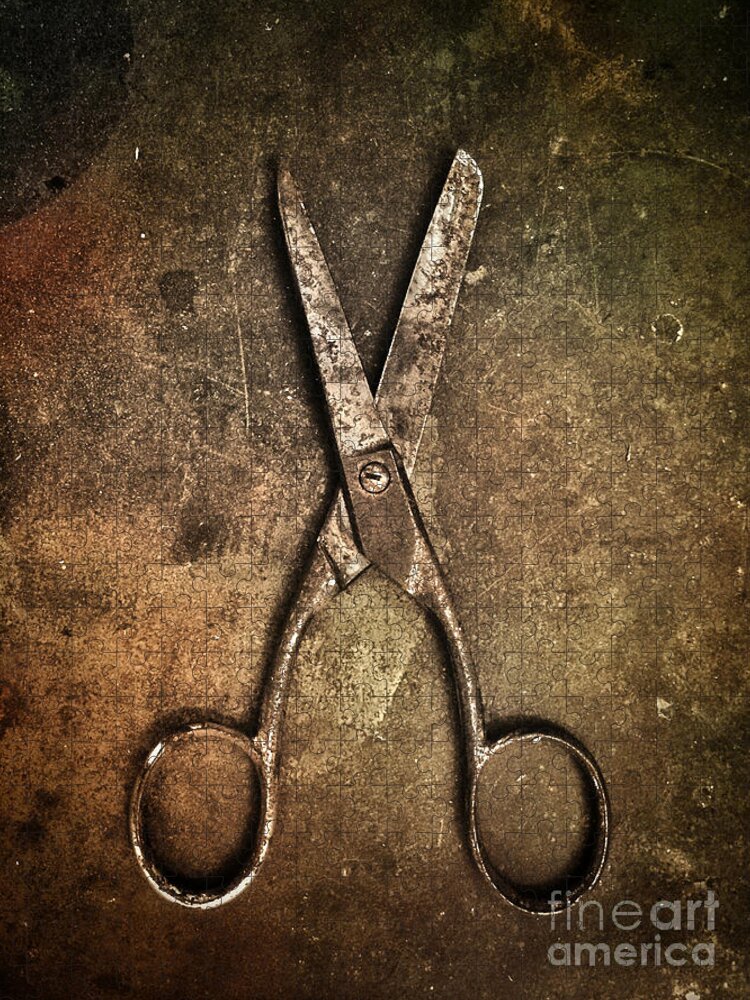 https://render.fineartamerica.com/images/rendered/default/flat/puzzle/images-medium-5/old-scissors-carlos-caetano.jpg?&targetx=0&targety=0&imagewidth=750&imageheight=1000&modelwidth=750&modelheight=1000&backgroundcolor=674828&orientation=1&producttype=puzzle-18-24&brightness=215&v=6