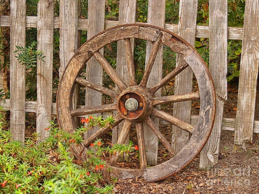 Wooden Wagon Wheel Jigsaw Puzzle featuring the photograph Old Spare Wheel by Chris Thaxter