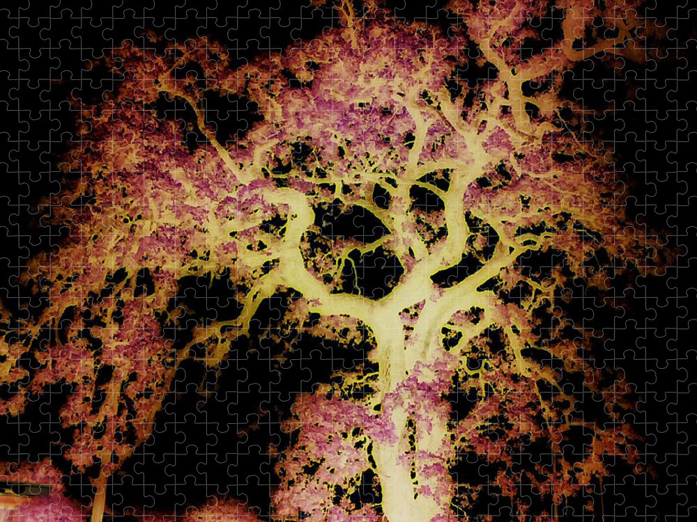 Tree Jigsaw Puzzle featuring the photograph Old Tree New Bark by Max Mullins