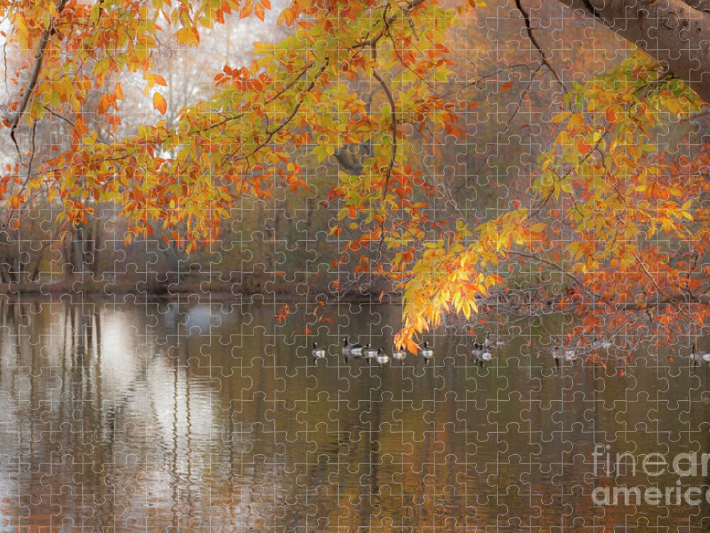 Pond Jigsaw Puzzle featuring the photograph Peavefull Pond Reflections by Dale Powell