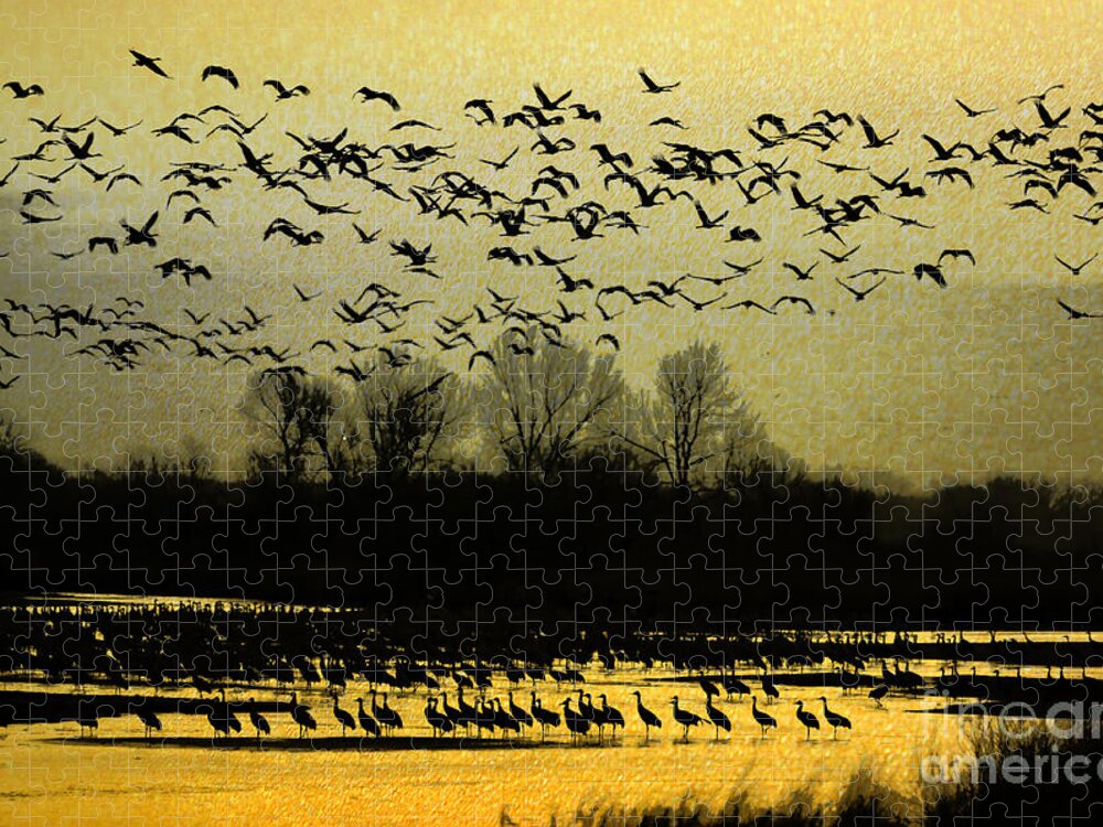 Sandhill Cranes Jigsaw Puzzle featuring the photograph On Golden Pond by Elizabeth Winter