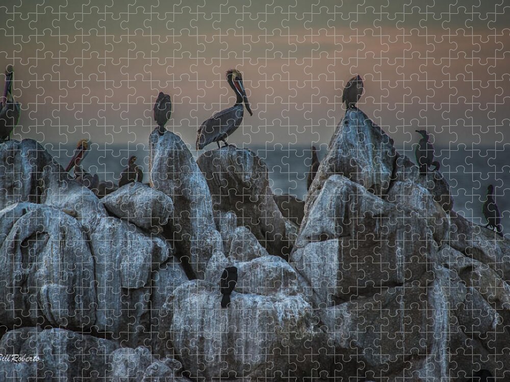 Central California Coast Jigsaw Puzzle featuring the photograph On Guard by Bill Roberts