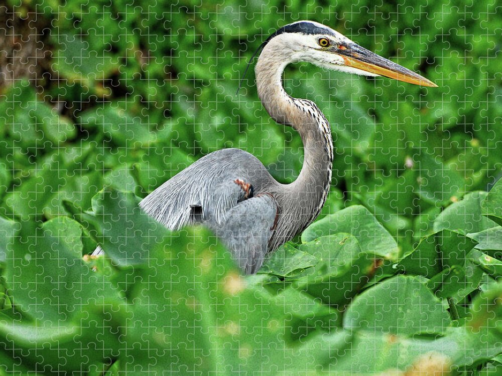 On Jigsaw Puzzle featuring the digital art On The Lookout by Bruce Nawrocke