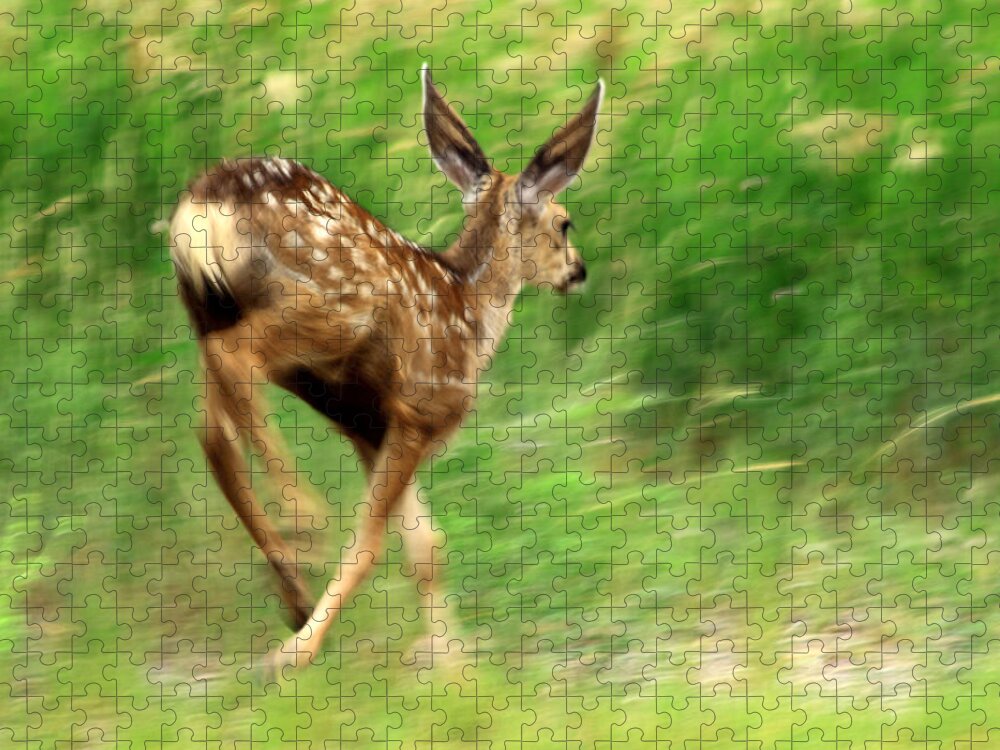 8x8 Mule Deer Throw Pillow by Shane Bechler - Pixels