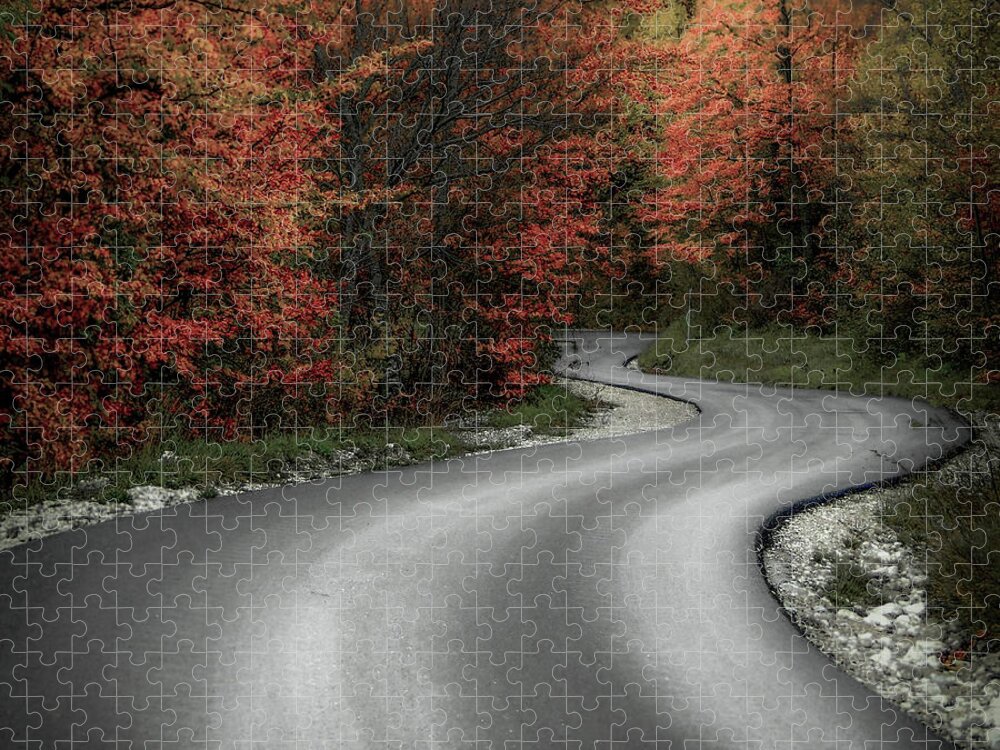 Tranquility Jigsaw Puzzle featuring the photograph On The Way by Foto Polimanti Fabio