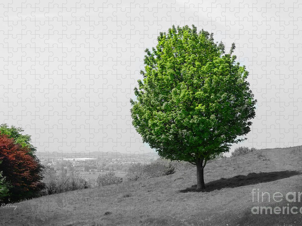Vegetation Jigsaw Puzzle featuring the photograph The Lone Tree On the Climb Up to Glastonbury by Rene Triay FineArt Photos