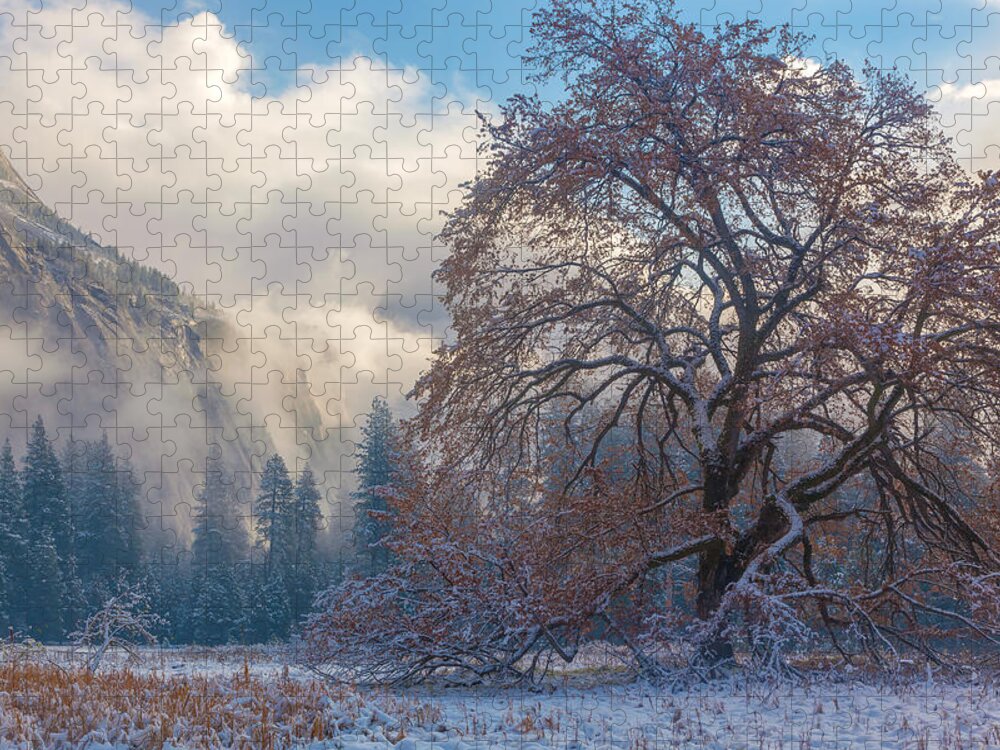 Landscape Jigsaw Puzzle featuring the photograph One Beauty by Jonathan Nguyen
