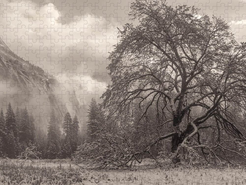 Landscape Jigsaw Puzzle featuring the photograph One Beauty Sepia by Jonathan Nguyen