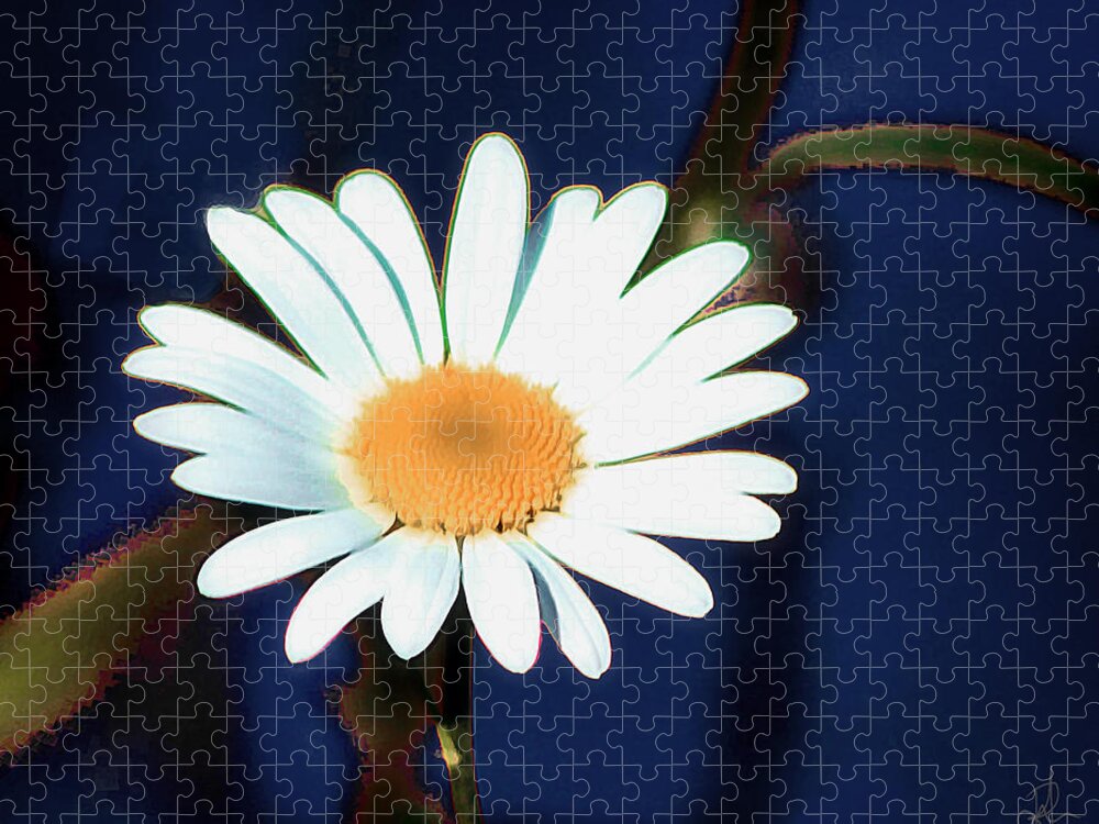 Flower Jigsaw Puzzle featuring the photograph Oops a Daisy by Pennie McCracken