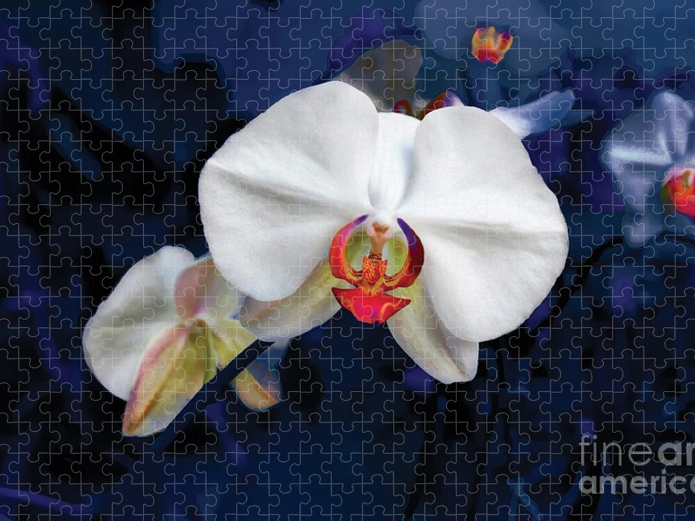 Orchid Jigsaw Puzzle featuring the photograph Exotic Orchid 25 by Carlos Diaz