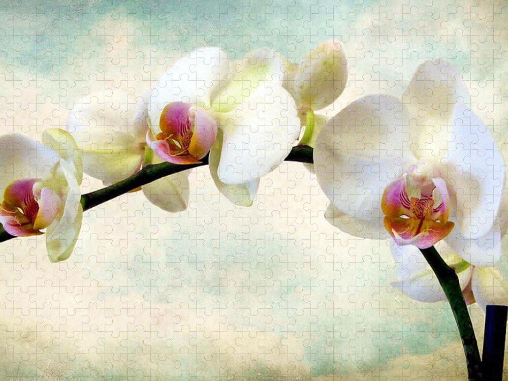 Flowers Jigsaw Puzzle featuring the photograph Orchid Heaven by Jessica Jenney