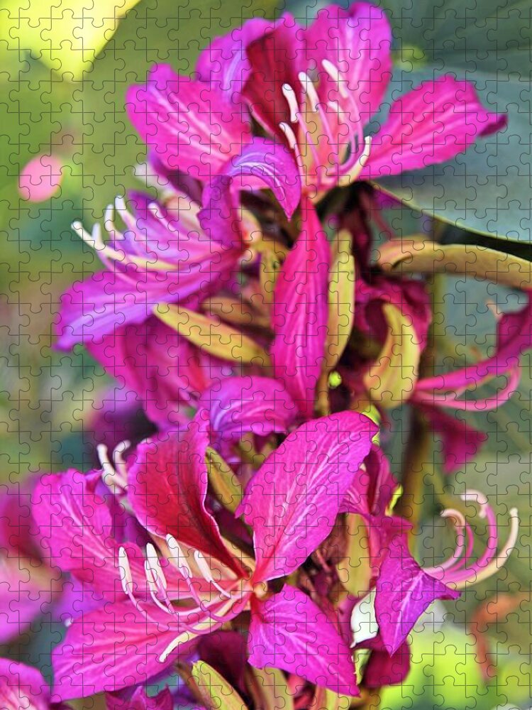 Orchid Jigsaw Puzzle featuring the photograph Orchid Tree Flower by Jane Girardot