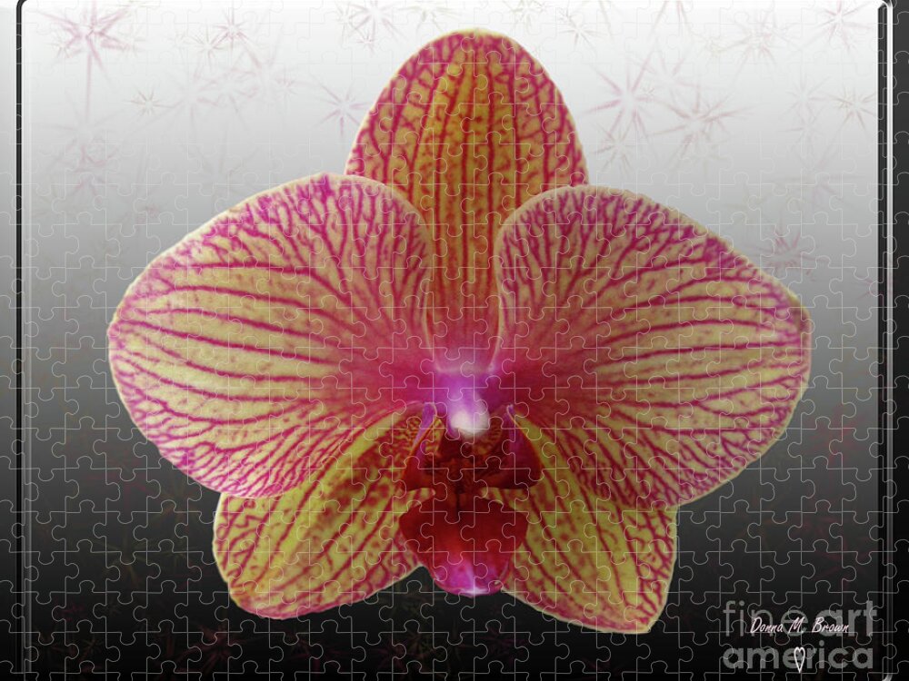 Flower Jigsaw Puzzle featuring the photograph Orchid with Stars by Donna Brown