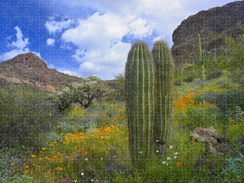 00175595 Jigsaw Puzzle featuring the photograph Organ Pipe Catus National Monument by Tim Fitzharris