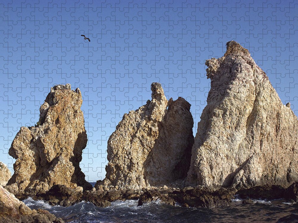 Feb0514 Jigsaw Puzzle featuring the photograph Osprey Nests On Sea Stacks Sea by Tui De Roy