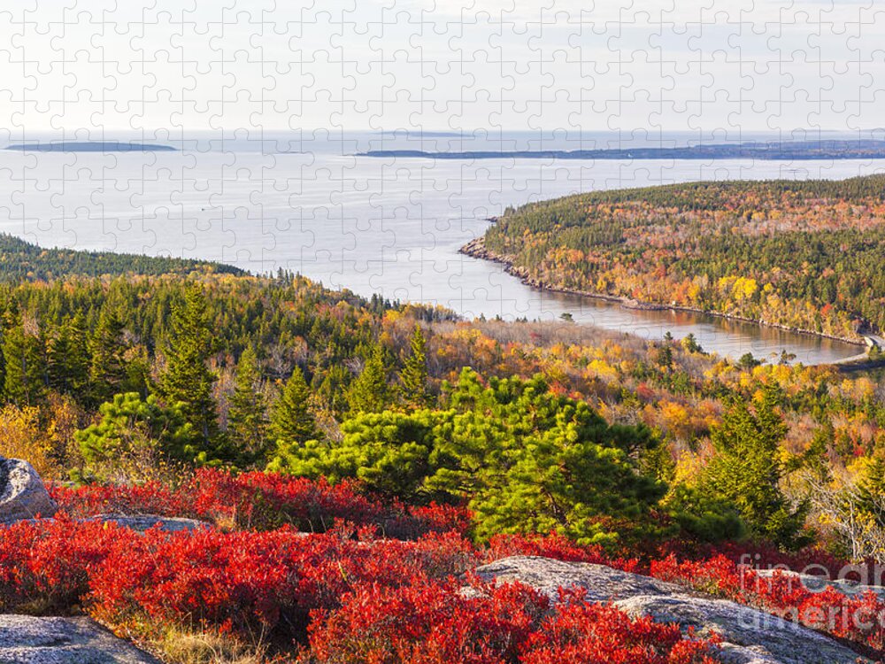 Acadia Jigsaw Puzzle featuring the photograph Otter Cove from Gorham Mountain in Autumn Acadia National Park by Ken Brown